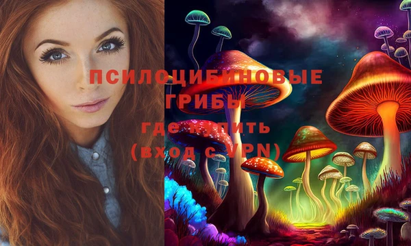 прущие крисы Алексин