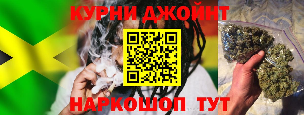 Конопля план  Канабис сатива  Ревда  Вход с VPN 
